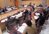 CUP Ple Diputació Girona